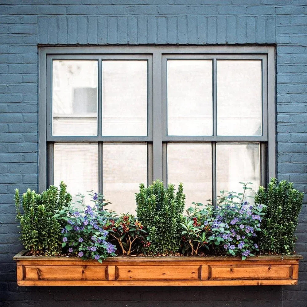 Energy Efficient Windows